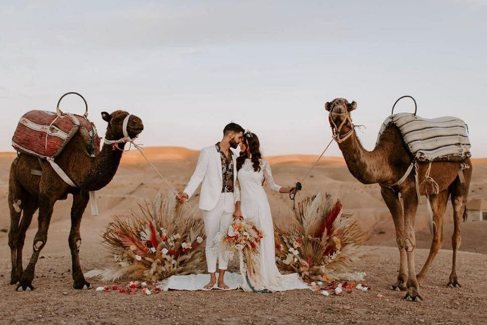 Agafay Desert sunset camel ride and dinner – golden hour trek and Moroccan feast near Marrakech