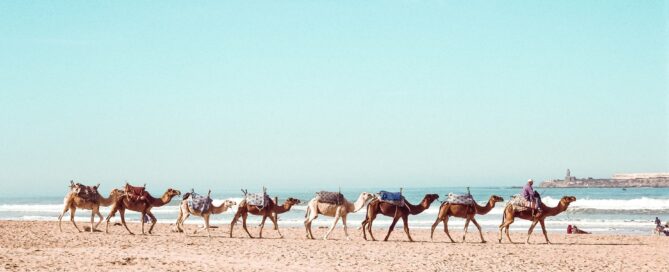 Essaouira day trip from Marrakech