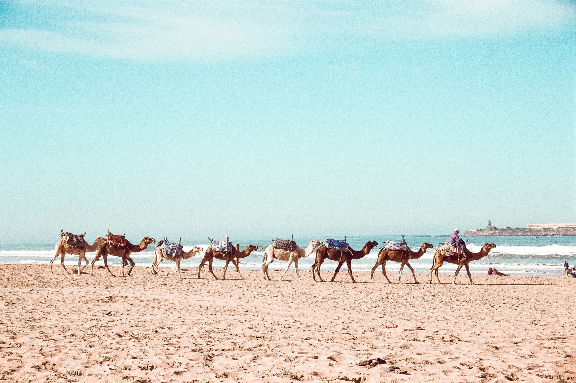 Essaouira day trip from Marrakech