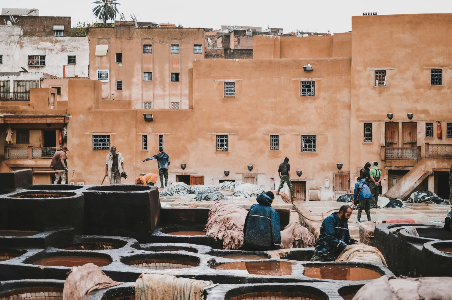 Fes medina guide