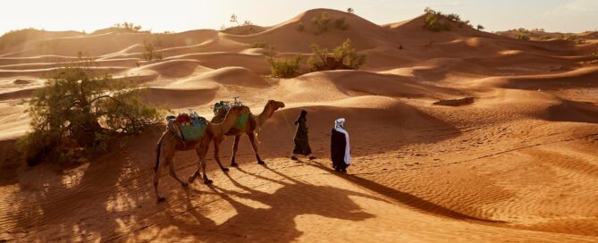 Marrakech desert tours
