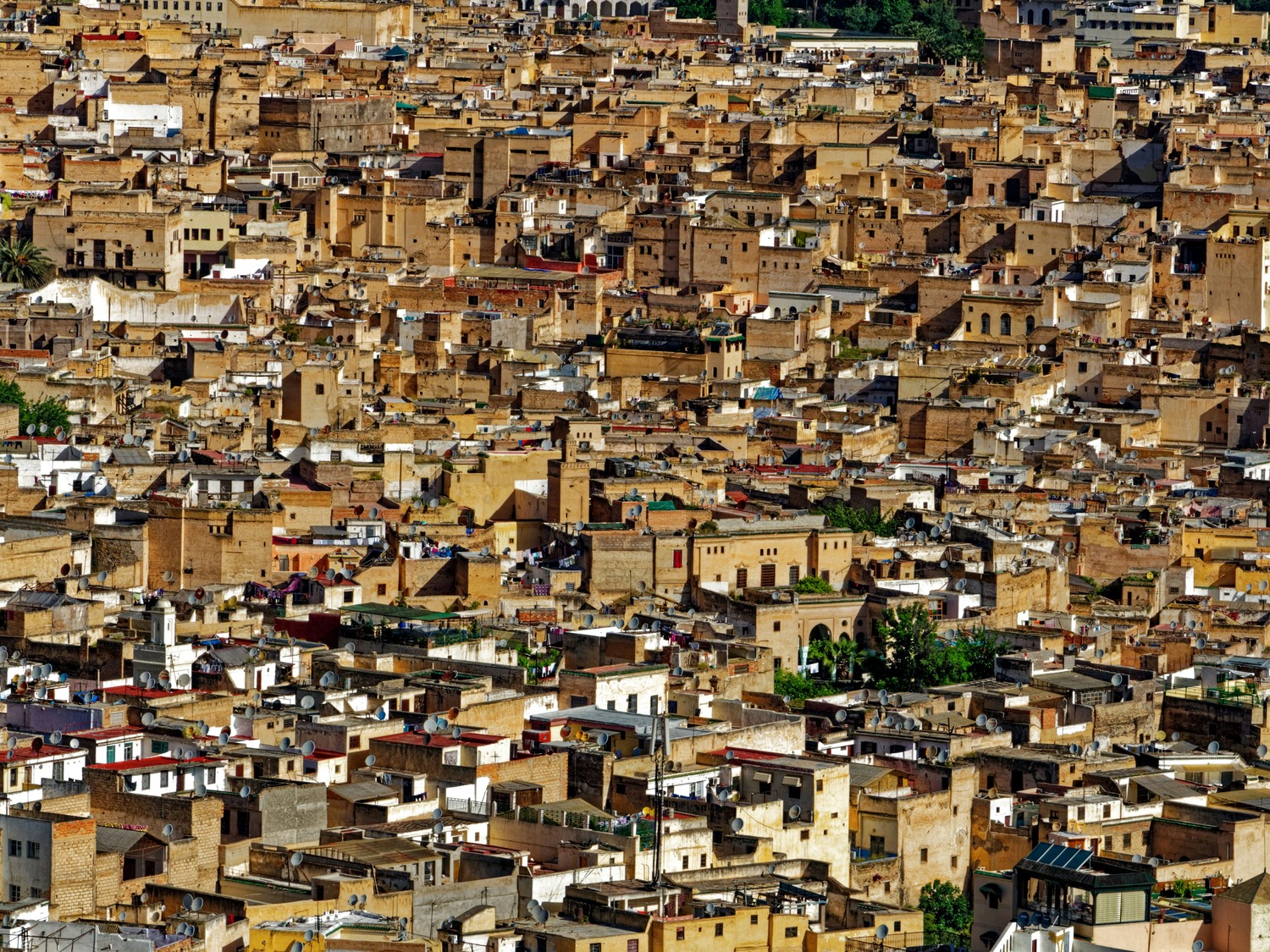 Fes Morocco Travel Guide