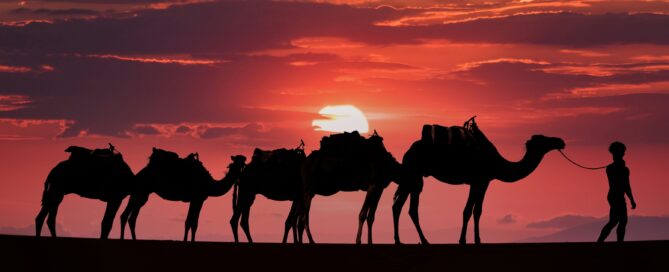 Agadir desert tours