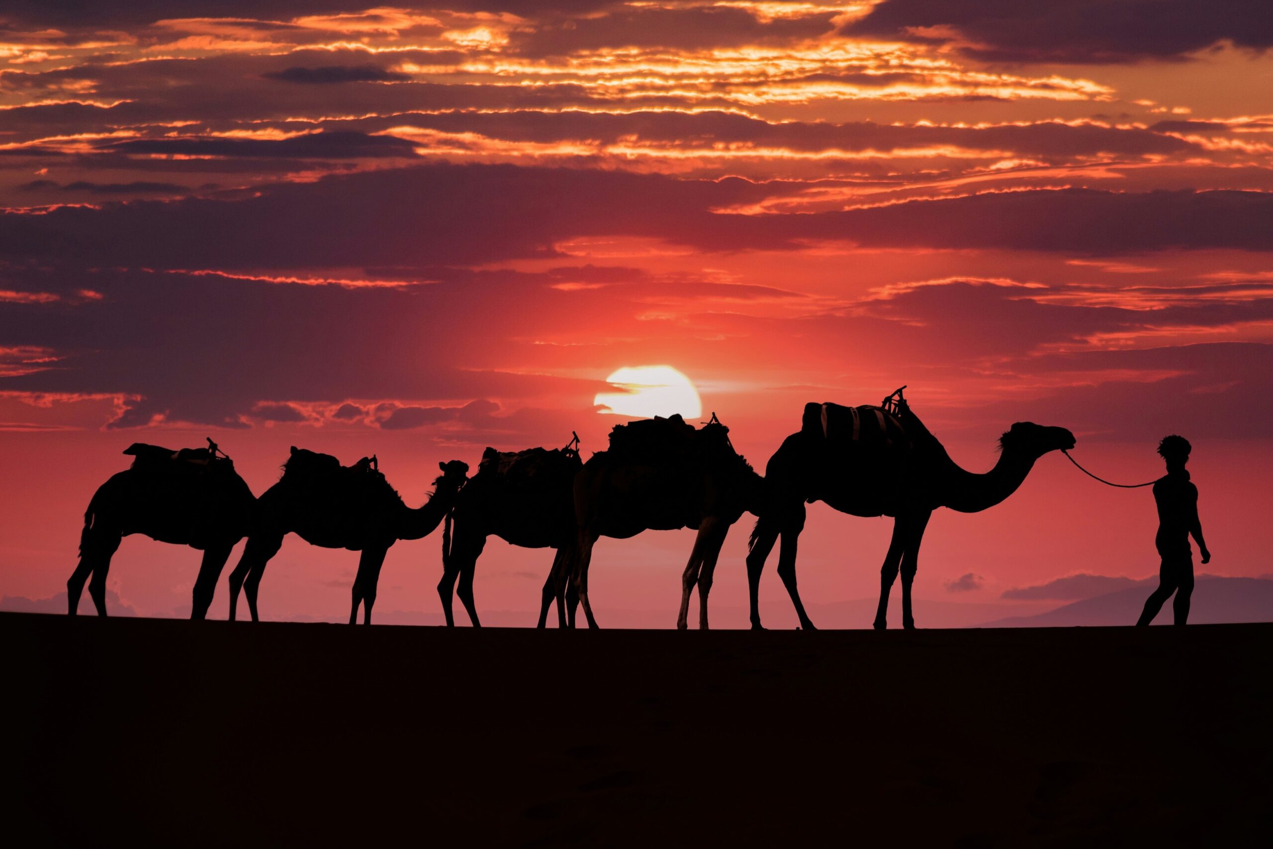 Agadir desert tours