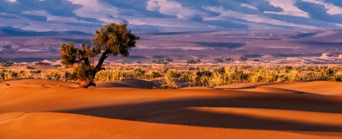 Zagora desert tour