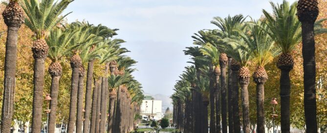 is Fes worth visiting