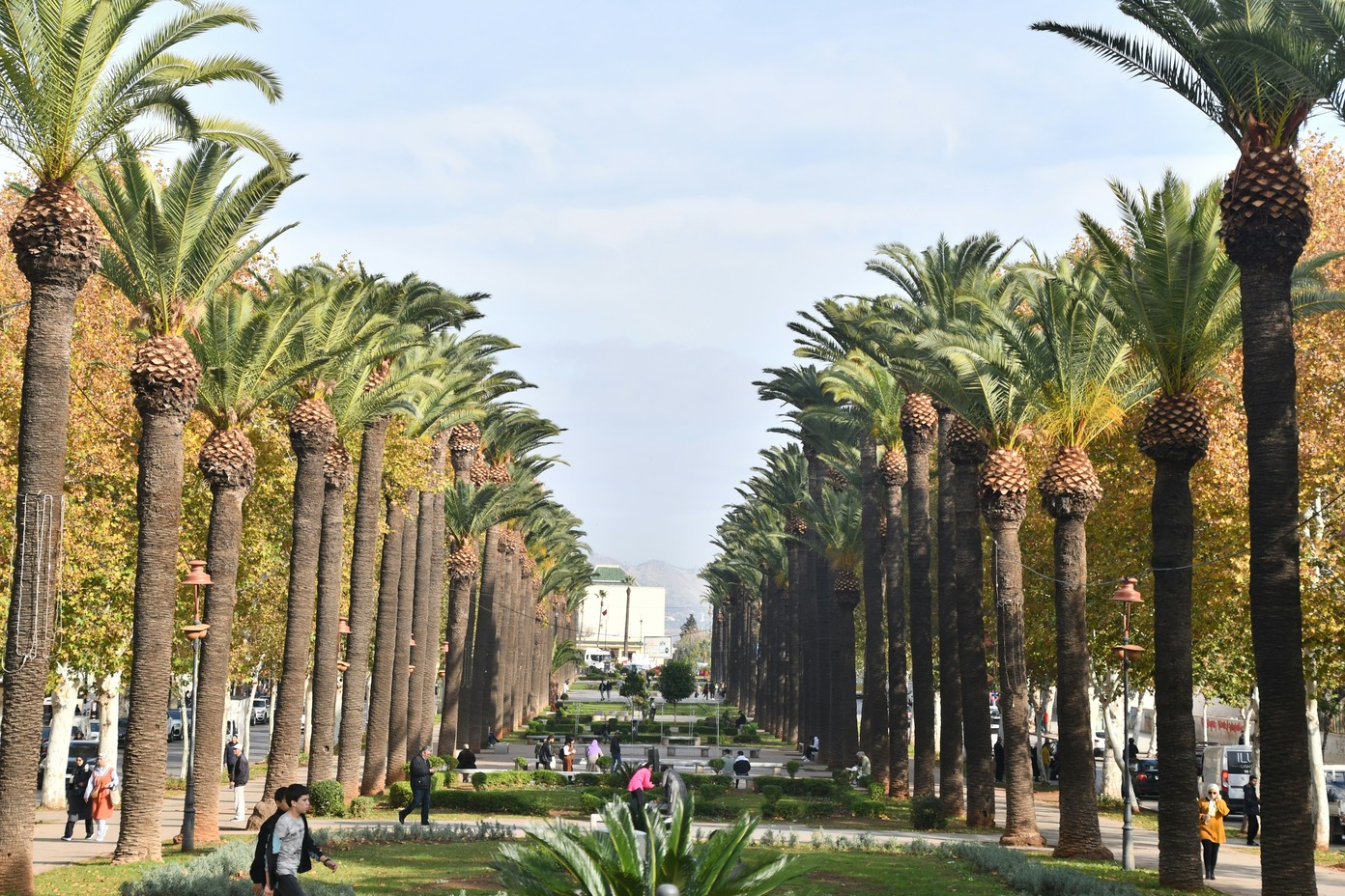 is Fes worth visiting